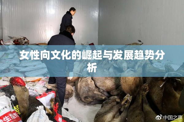 女性向文化的崛起与发展趋势分析