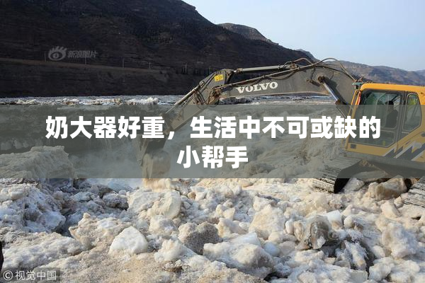 奶大器好重，生活中不可或缺的小帮手