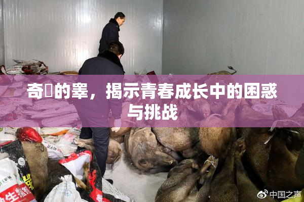 奇犽的睾，揭示青春成长中的困惑与挑战