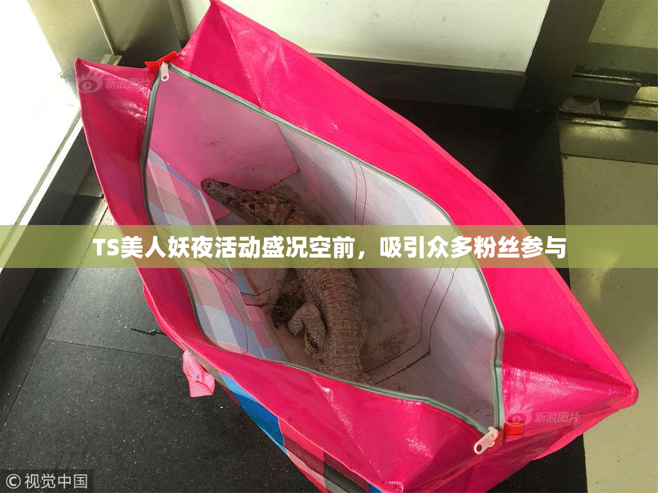 TS美人妖夜活动盛况空前，吸引众多粉丝参与