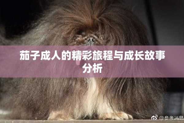 茄子成人的精彩旅程与成长故事分析