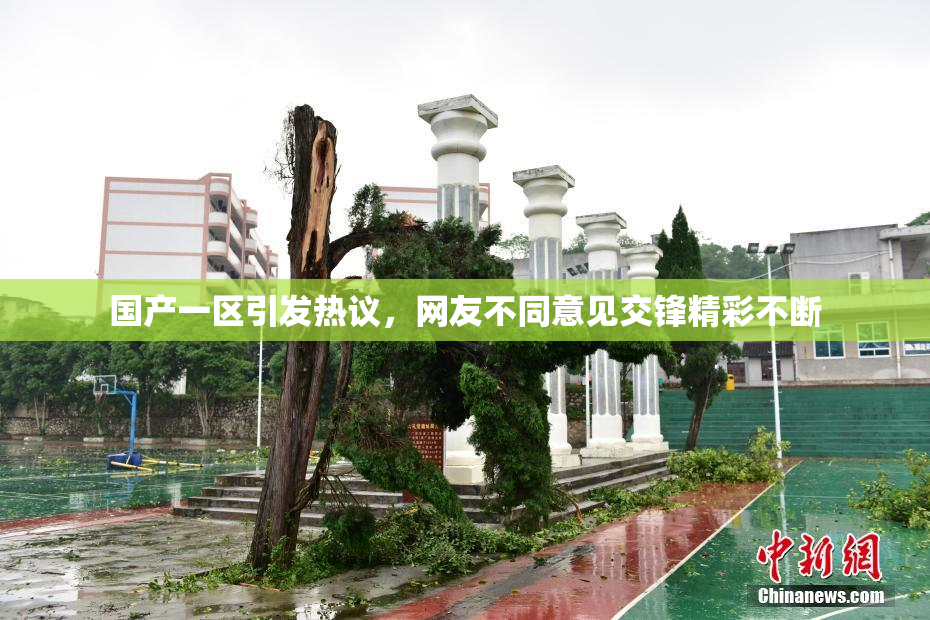 国产一区引发热议，网友不同意见交锋精彩不断