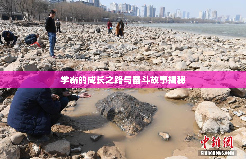 学霸的成长之路与奋斗故事揭秘
