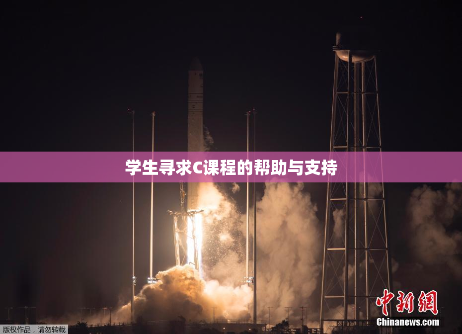 学生寻求C课程的帮助与支持