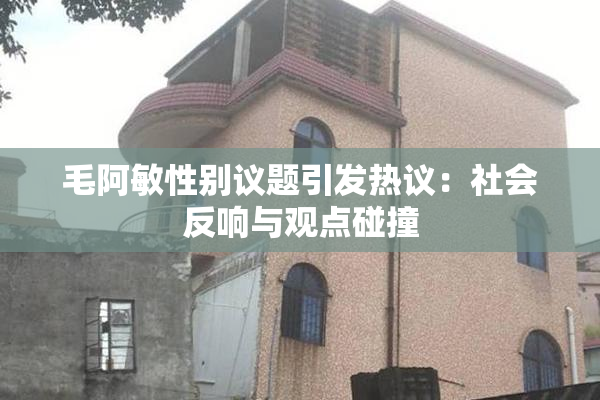 毛阿敏性别议题引发热议：社会反响与观点碰撞