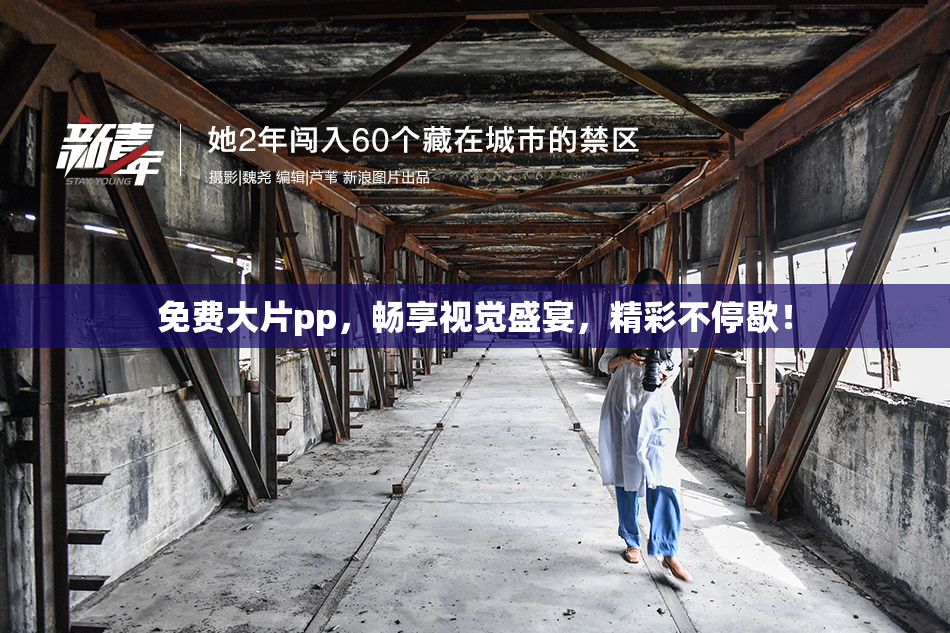 免费大片pp，畅享视觉盛宴，精彩不停歇！