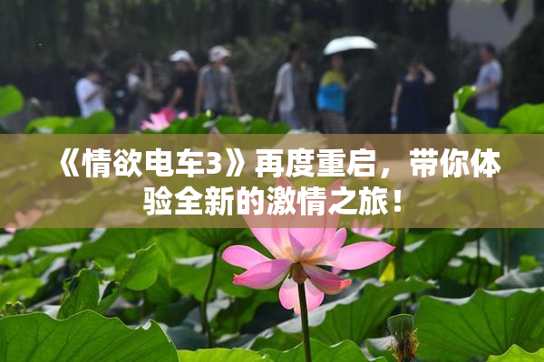 《情欲电车3》再度重启，带你体验全新的激情之旅！