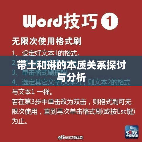 带土和琳的本质关系探讨与分析