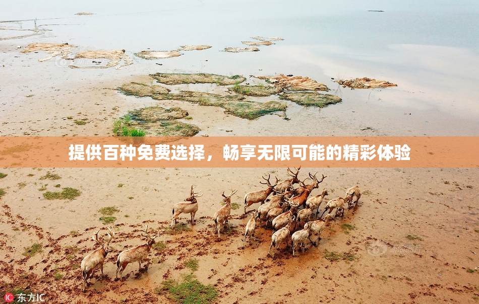 提供百种免费选择，畅享无限可能的精彩体验
