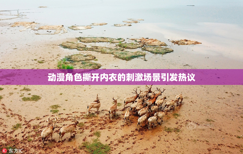 动漫角色撕开内衣的刺激场景引发热议