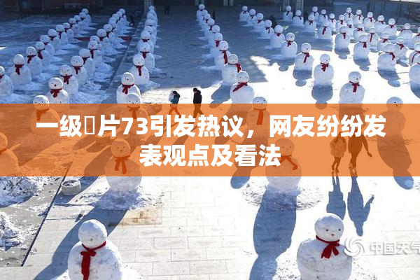 一级婬片73引发热议，网友纷纷发表观点及看法