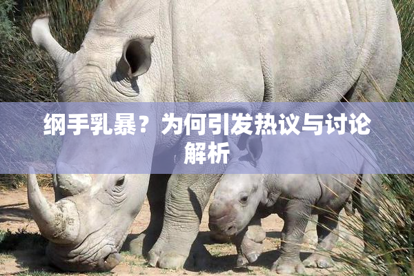 纲手乳暴？为何引发热议与讨论解析