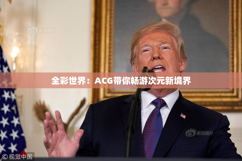 全彩世界：ACG带你畅游次元新境界