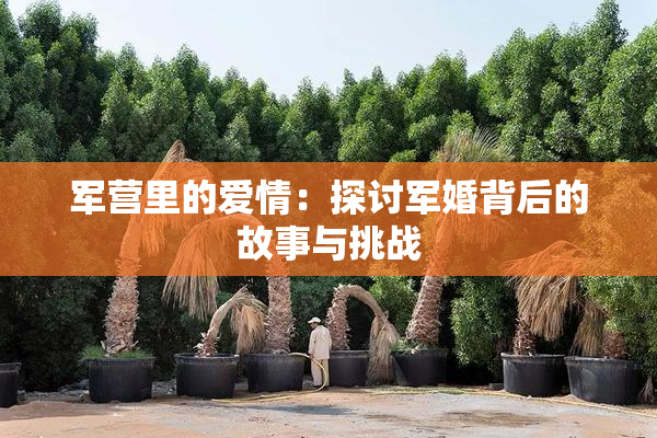 军营里的爱情：探讨军婚背后的故事与挑战