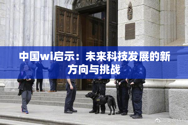 中国wi启示：未来科技发展的新方向与挑战