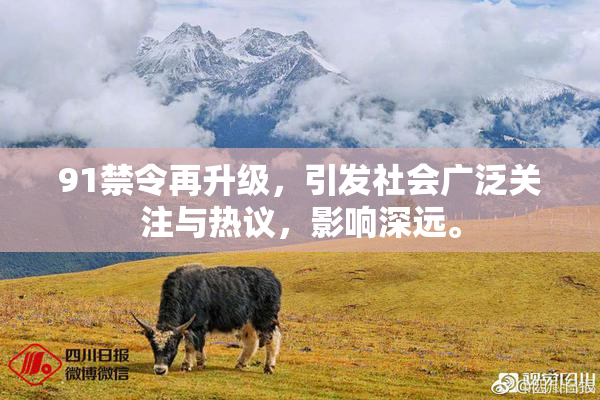 91禁令再升级，引发社会广泛关注与热议，影响深远。