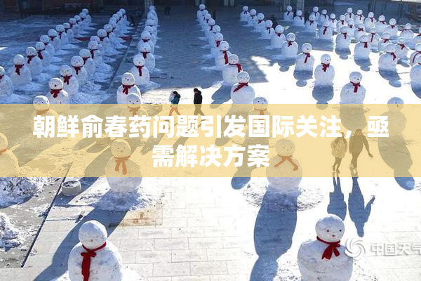 朝鲜俞春药问题引发国际关注，亟需解决方案
