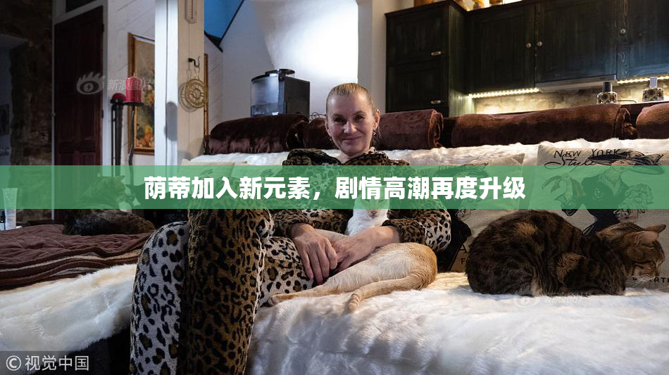 荫蒂加入新元素，剧情高潮再度升级