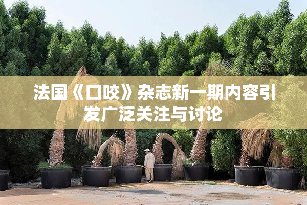 法国《口咬》杂志新一期内容引发广泛关注与讨论