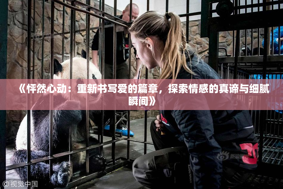 《怦然心动：重新书写爱的篇章，探索情感的真谛与细腻瞬间》