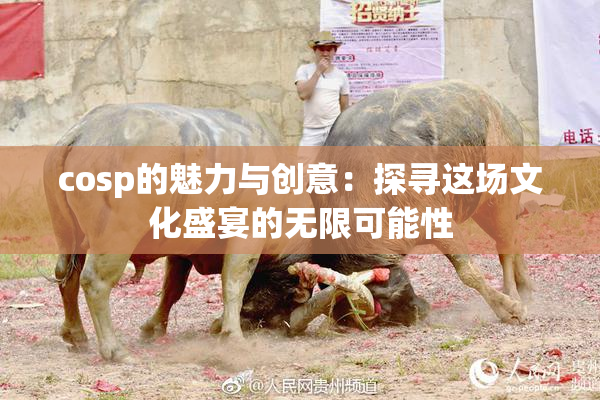 cosp的魅力与创意：探寻这场文化盛宴的无限可能性