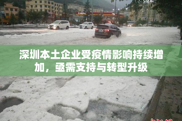 深圳本土企业受疫情影响持续增加，亟需支持与转型升级