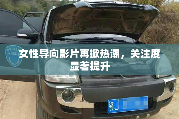 女性导向影片再掀热潮，关注度显著提升