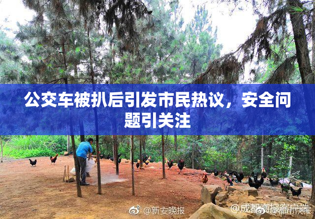 公交车被扒后引发市民热议，安全问题引关注