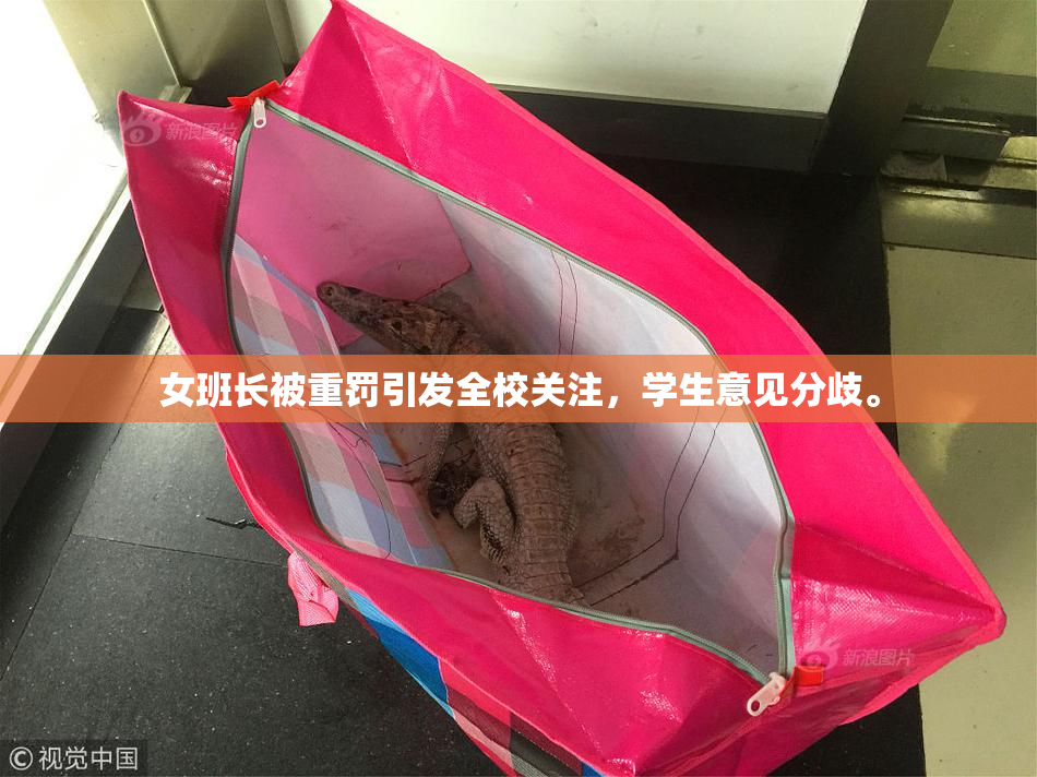 女班长被重罚引发全校关注，学生意见分歧。