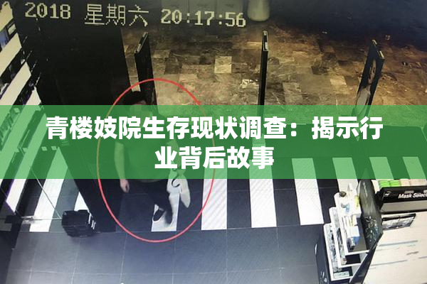 青楼妓院生存现状调查：揭示行业背后故事