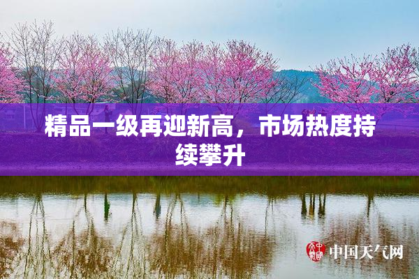 精品一级再迎新高，市场热度持续攀升