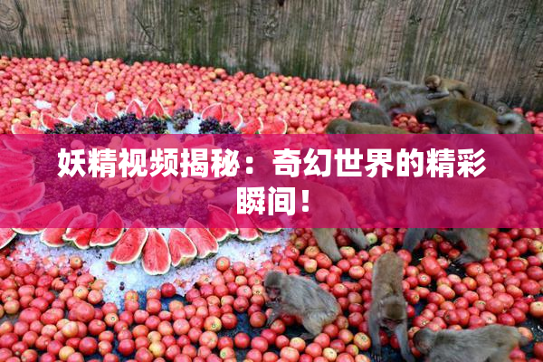 妖精视频揭秘：奇幻世界的精彩瞬间！