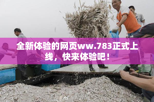 全新体验的网页ww.783正式上线，快来体验吧！