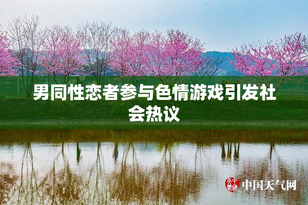 男同性恋者参与色情游戏引发社会热议