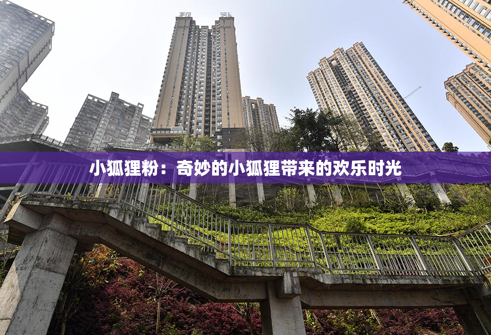 小狐狸粉：奇妙的小狐狸带来的欢乐时光