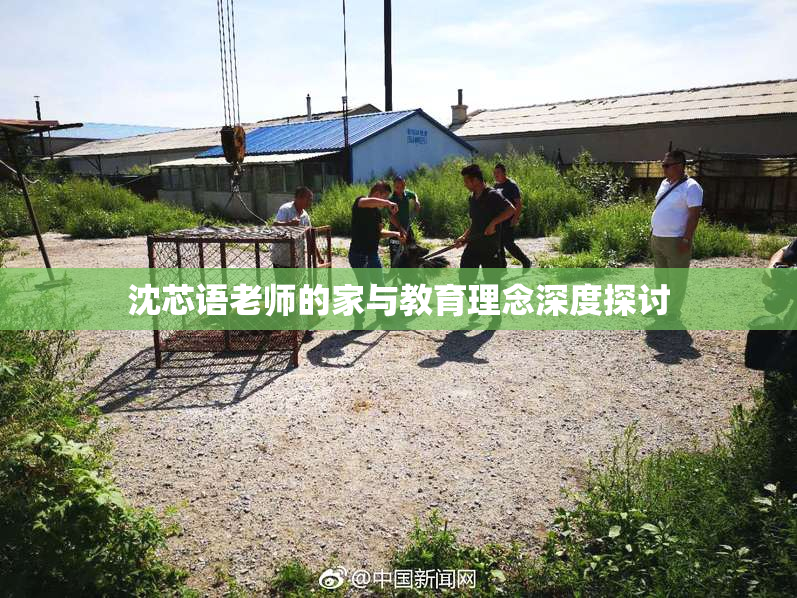 沈芯语老师的家与教育理念深度探讨