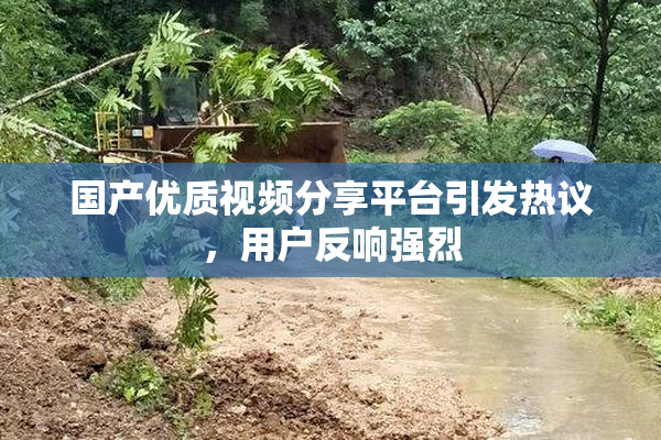 国产优质视频分享平台引发热议，用户反响强烈