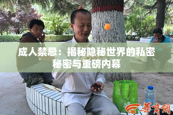 成人禁忌：揭秘隐秘世界的私密秘密与重磅内幕