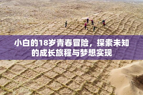 小白的18岁青春冒险，探索未知的成长旅程与梦想实现