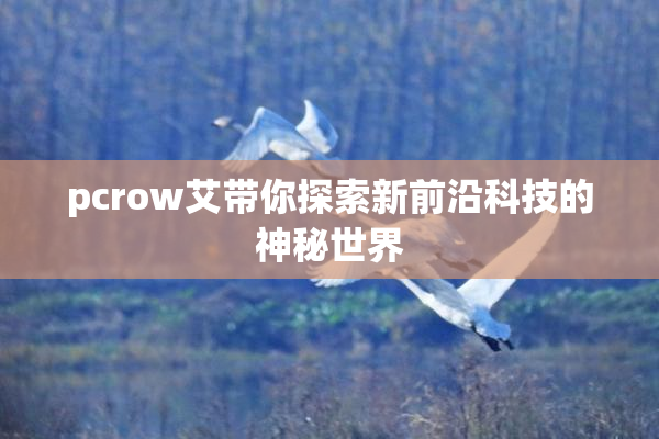 pcrow艾带你探索新前沿科技的神秘世界