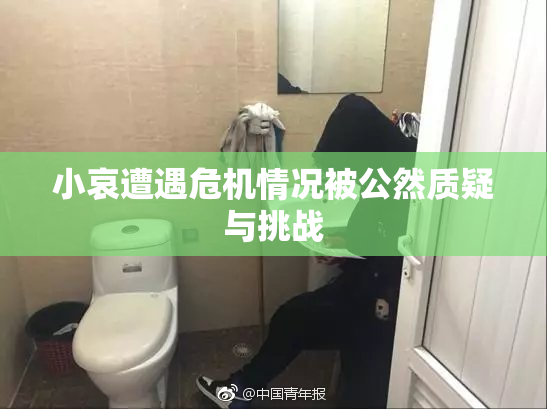 小哀遭遇危机情况被公然质疑与挑战