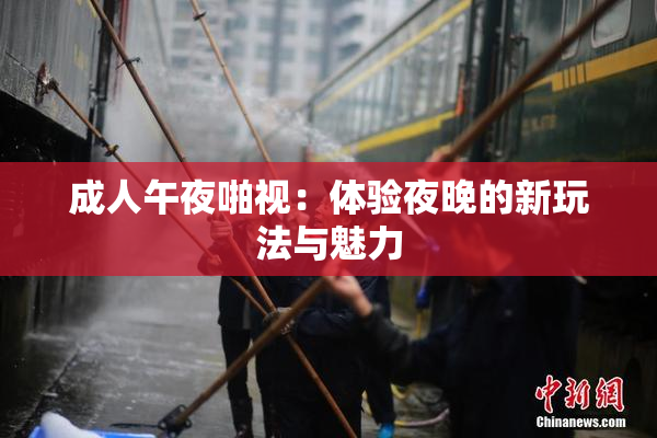 成人午夜啪视：体验夜晚的新玩法与魅力
