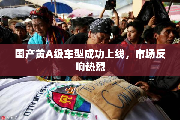 国产黄A级车型成功上线，市场反响热烈