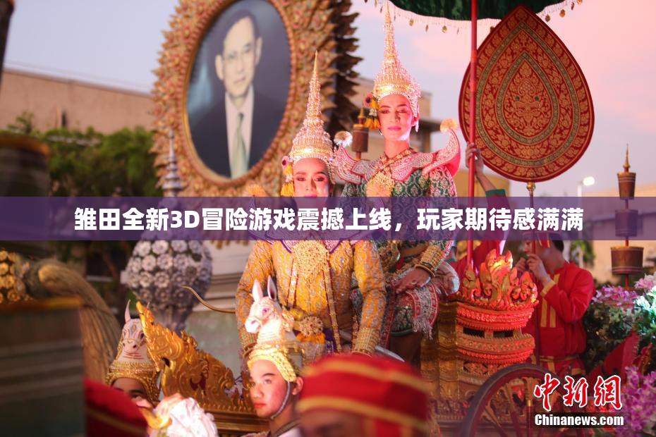 雏田全新3D冒险游戏震撼上线，玩家期待感满满