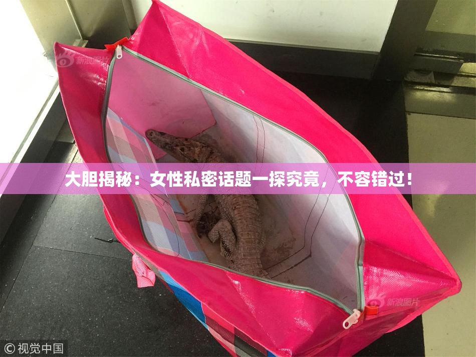 大胆揭秘：女性私密话题一探究竟，不容错过！