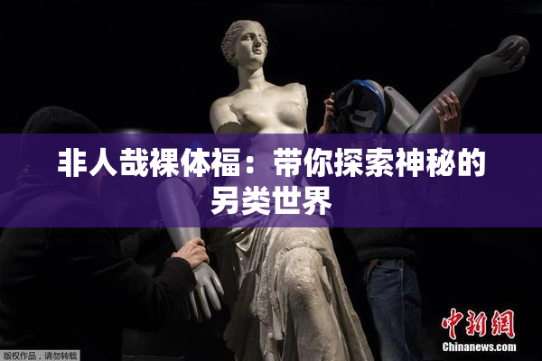 非人哉裸体福：带你探索神秘的另类世界