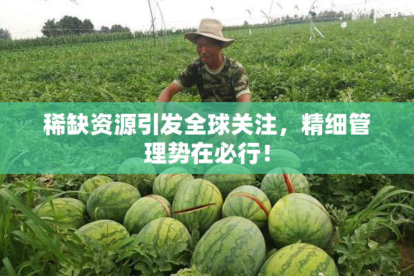 稀缺资源引发全球关注，精细管理势在必行！