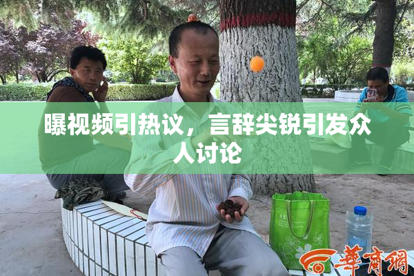曝视频引热议，言辞尖锐引发众人讨论