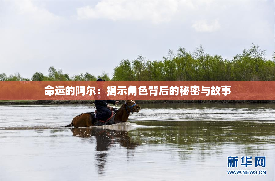 命运的阿尔：揭示角色背后的秘密与故事