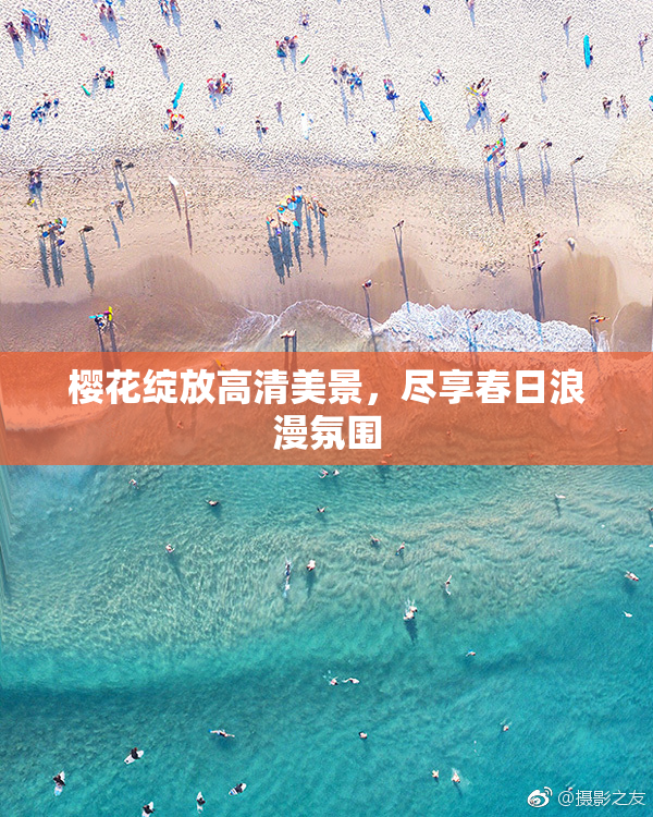 樱花绽放高清美景，尽享春日浪漫氛围